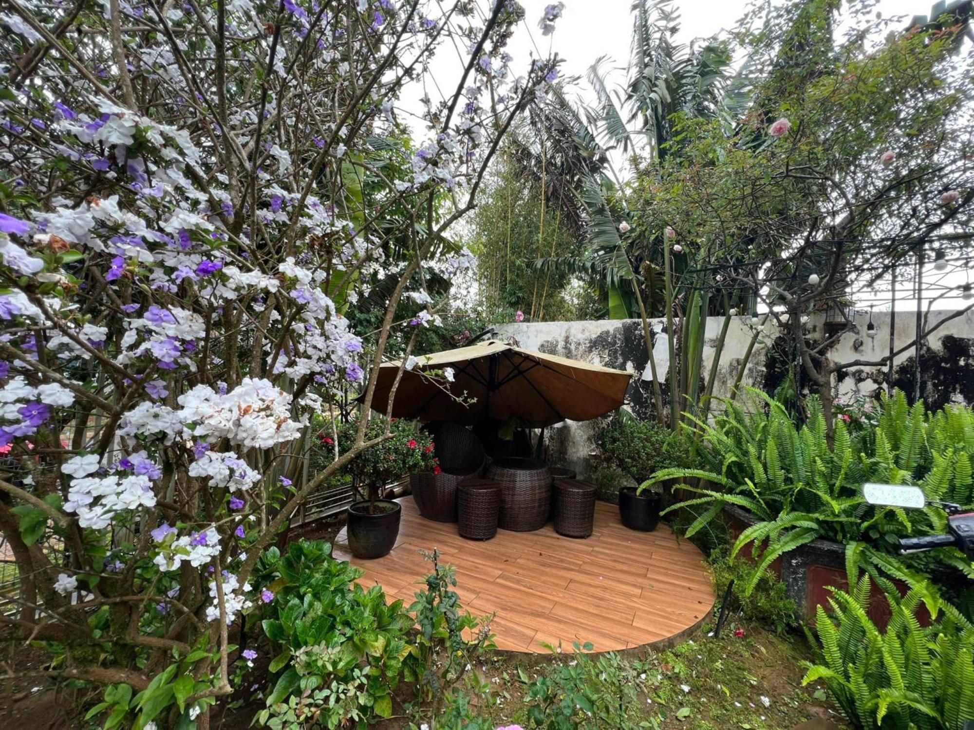 Vuon Tra Homestay Mang Den Kon Von Kla Exterior foto